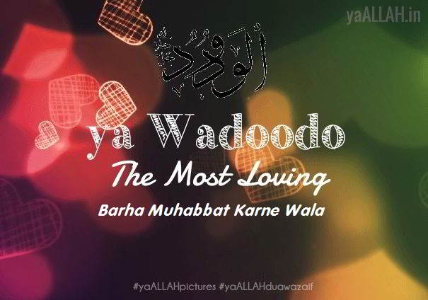 ya wadoodo-#yaALLAHpictures